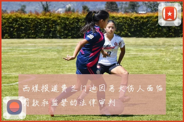 西媒报道费兰门迪因恶犬伤人面临罚款和监禁的法律审判
