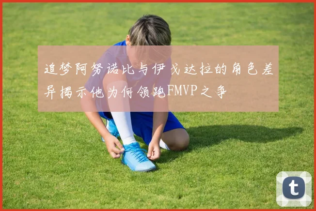 追梦阿努诺比与伊戈达拉的角色差异揭示他为何领跑FMVP之争
